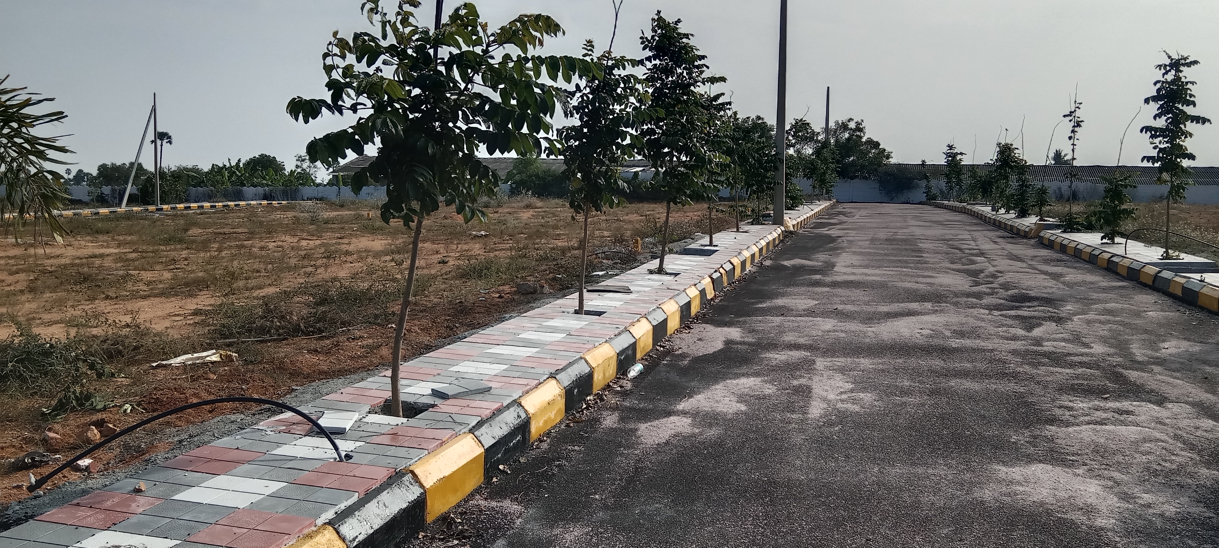 Plot For Resale in Mettuguda Hyderabad  6339330