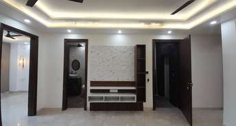 3 BHK Builder Floor For Rent in Pitampura Delhi 6340120