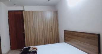1 BHK Builder Floor For Rent in Housing Board Colony Sector 17 Sector 17a Gurgaon 6340737
