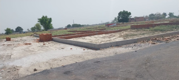 Plot For Resale in Sector 62 Faridabad  6340788