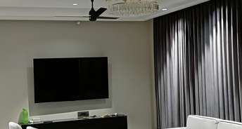 1 BHK Apartment For Rent in Jaypee Moon Court Jaypee Greens Greater Noida 6341029