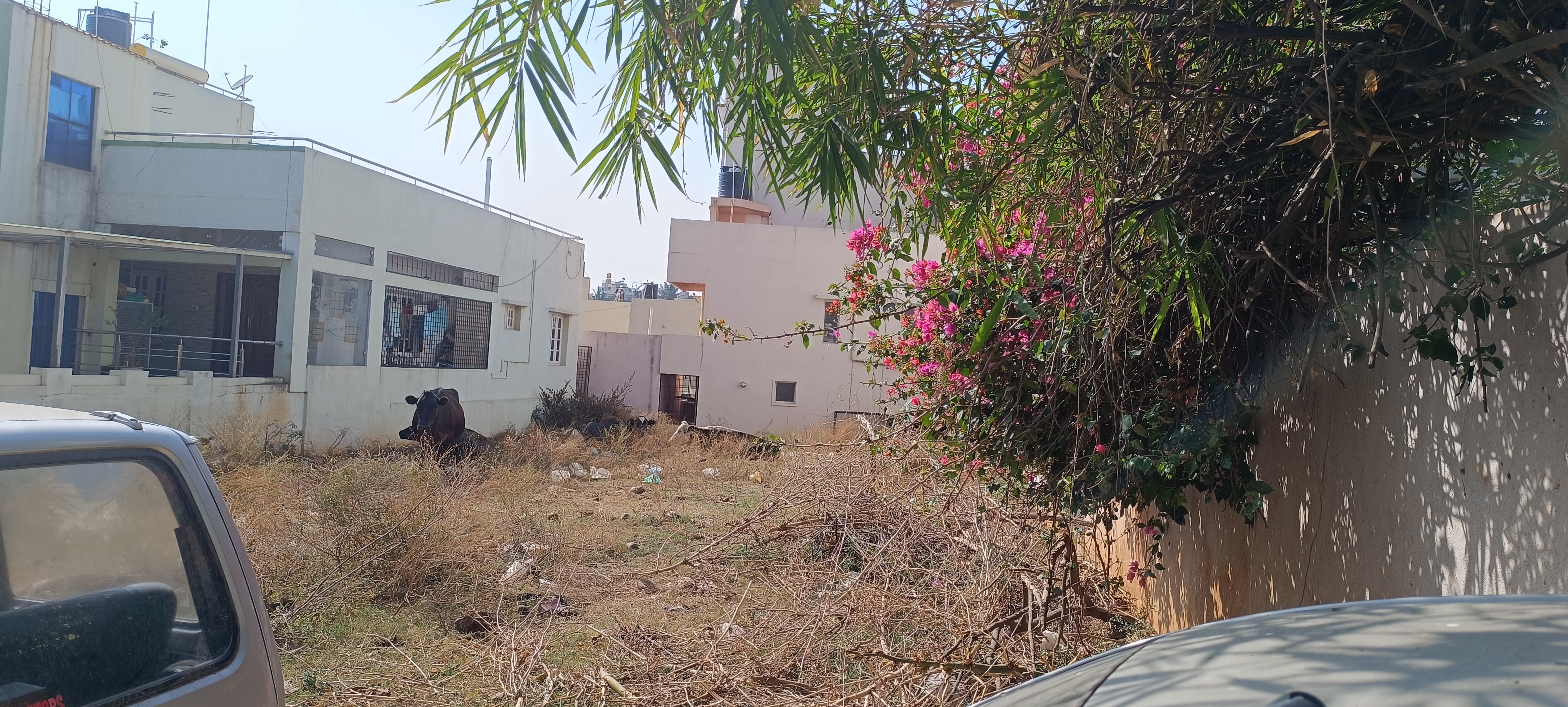 1715+ Properties for Sale Near Kishori High School, Laggere Bangalore