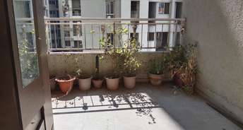 2 BHK Apartment For Rent in Pate Kimaya Bibwewadi Pune 6341798