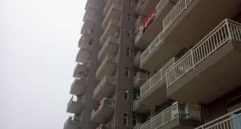 3 BHK Apartment For Rent in Sector 78 Faridabad 6341939