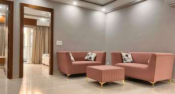 1 BHK Apartment For Rent in Ansal Celebrity Suites Sector 2 Gurgaon 6342442