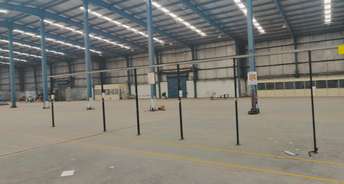 Commercial Warehouse 22000 Sq.Yd. For Resale In SananD Viramgam Road Ahmedabad 6342718