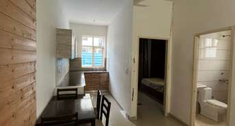 1 BHK Apartment For Resale in Amolik Sankalp Sector 85 Faridabad 6343181