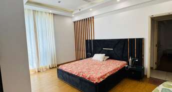 2 BHK Apartment For Rent in Jaypee Greens Star Court Jaypee Greens Greater Noida 6343664