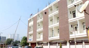 3 BHK Builder Floor For Resale in RWA Apartments Sector 73 Sector 73 Noida 6343684