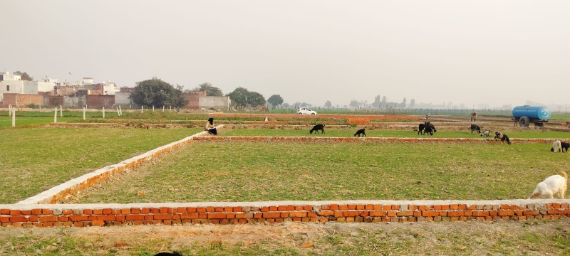 रेजिडेंशियल प्लॉट वर्ग फुट फॉर रीसेल इन सुल्तानपुर रोड लखनऊ  6343712