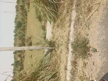  Plot For Resale in Sector 9 Ambala 6343906