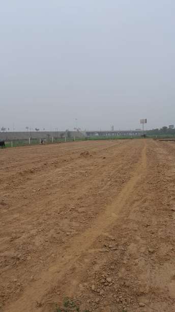  Plot For Resale in Allahabad Road Rewa 6339406