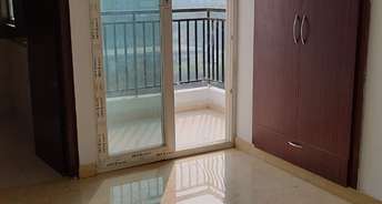 2 BHK Apartment For Resale in RWA Apartments Sector 29 Sector 29 Noida 6345393
