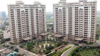 4 BHK Apartment For Rent in Lord Krishna Apartment Sector 43 Gurgaon 6341540