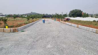 Plot For Resale in Harichandana Mayfair Villas Shadnagar Hyderabad  6346100