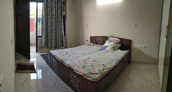 Studio Builder Floor For Rent in Sector 40 Gurgaon 6346232