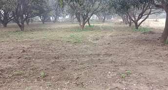 Commercial Land 27220 Sq.Ft. For Resale In University Road Lucknow 6346459