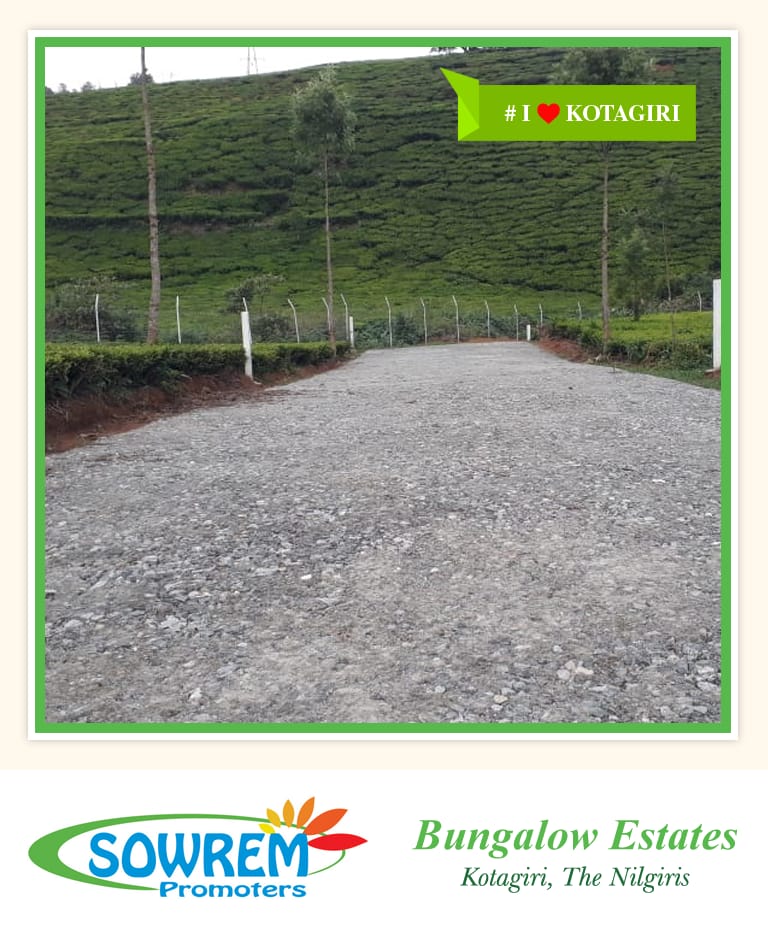 1+ Property in Ooty Ooty without Brokerage No Brokerage Properties
