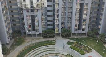 1 BHK Apartment For Rent in Aditya Urban Homes Shahpur Bamheta Ghaziabad 6347522