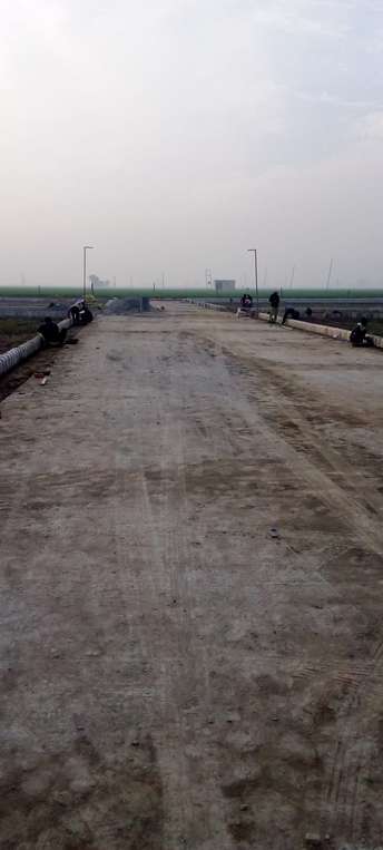  Plot For Resale in Yamuna Expressway Greater Noida 6347636