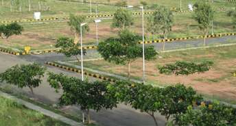  Plot For Resale in BPTP District 3 Sector 85 Faridabad 6348542