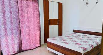 2 BHK Builder Floor For Rent in Ansal Boom Plaza Sushant Lok Iii Gurgaon 6349808