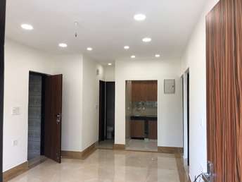 2 BHK Builder Floor For Rent in Paschim Vihar Delhi 6349825