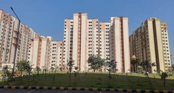 1 BHK Apartment For Rent in Sector 27 Taloja Navi Mumbai 6349989
