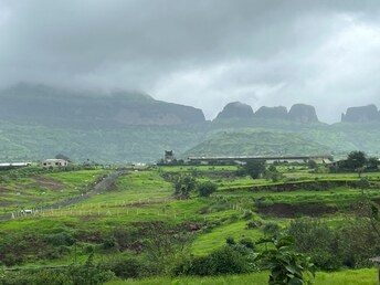 Plot For Resale in Trimbak Nashik  6350586