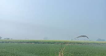 Commercial Land 7200 Sq.Ft. For Resale In Nh 10 Bahadurgarh 6350666