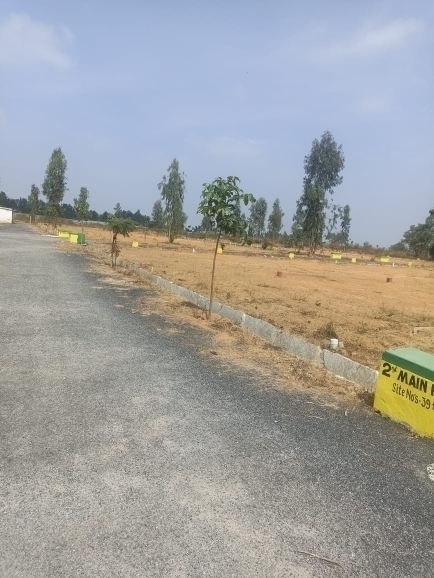 Plot For Resale in Bannerghatta Road Bangalore  6350738