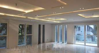 4 BHK Builder Floor For Resale in RWA Greater Kailash 2 Greater Kailash ii Delhi 6351392