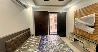 1 BHK Builder Floor For Rent in Sushant Lok I Gurgaon 6352994