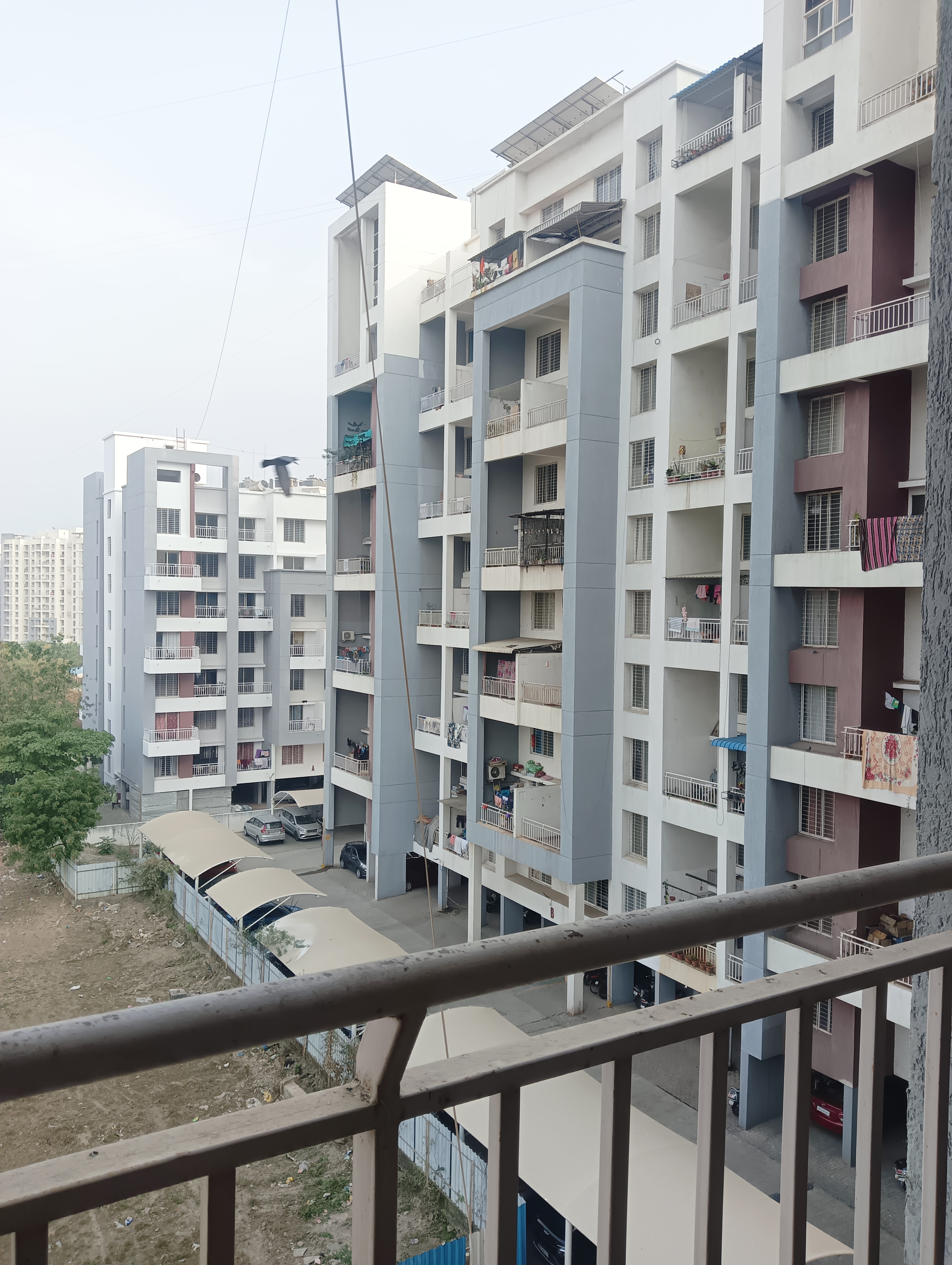 1 BHK Apartment For Resale in Goel Sai Ganga Undri Pune  6353072