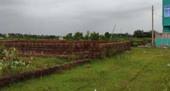Commercial Land 3480 Sq.Ft. For Resale In Andharua Bhubaneswar 6353715