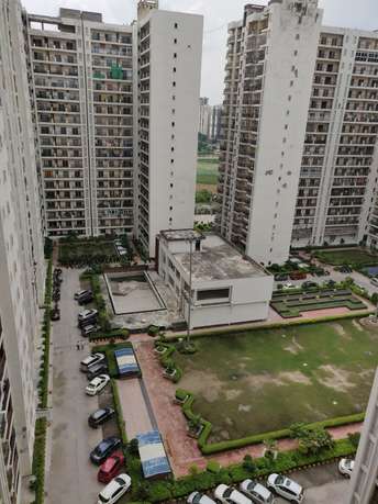 3 BHK Apartment फॉर रीसेल इन Amrapali Platinum Sector 119 Noida  6354004