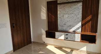 3 BHK Builder Floor For Rent in Pitampura Delhi 6354054