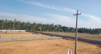  Plot For Resale in Anekal Bangalore 6354159