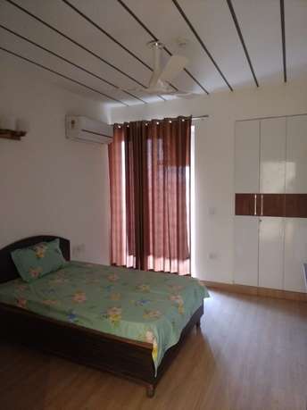 2 BHK Apartment For Rent in Bali Nagar Delhi 6354614