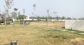  Plot For Resale in Sector 84a Faridabad 6354639