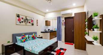 Studio Builder Floor For Rent in DLF City Gurgaon Sector 27 Gurgaon 6354731