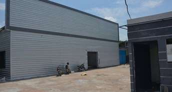Commercial Warehouse 30000 Sq.Ft. For Rent In Sector 31 Faridabad 6355196