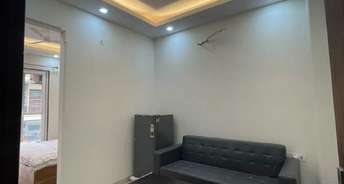 1 BHK Apartment For Rent in Alpine Eco Doddanekundi Bangalore 6355307