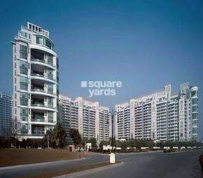 4 BHK Apartment For Rent in DLF The Aralias Sector 42 Gurgaon 6355318