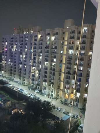 2 BHK Apartment For Rent in Signature Global The Millennia Phase 1 Sector 37d Gurgaon 6355813