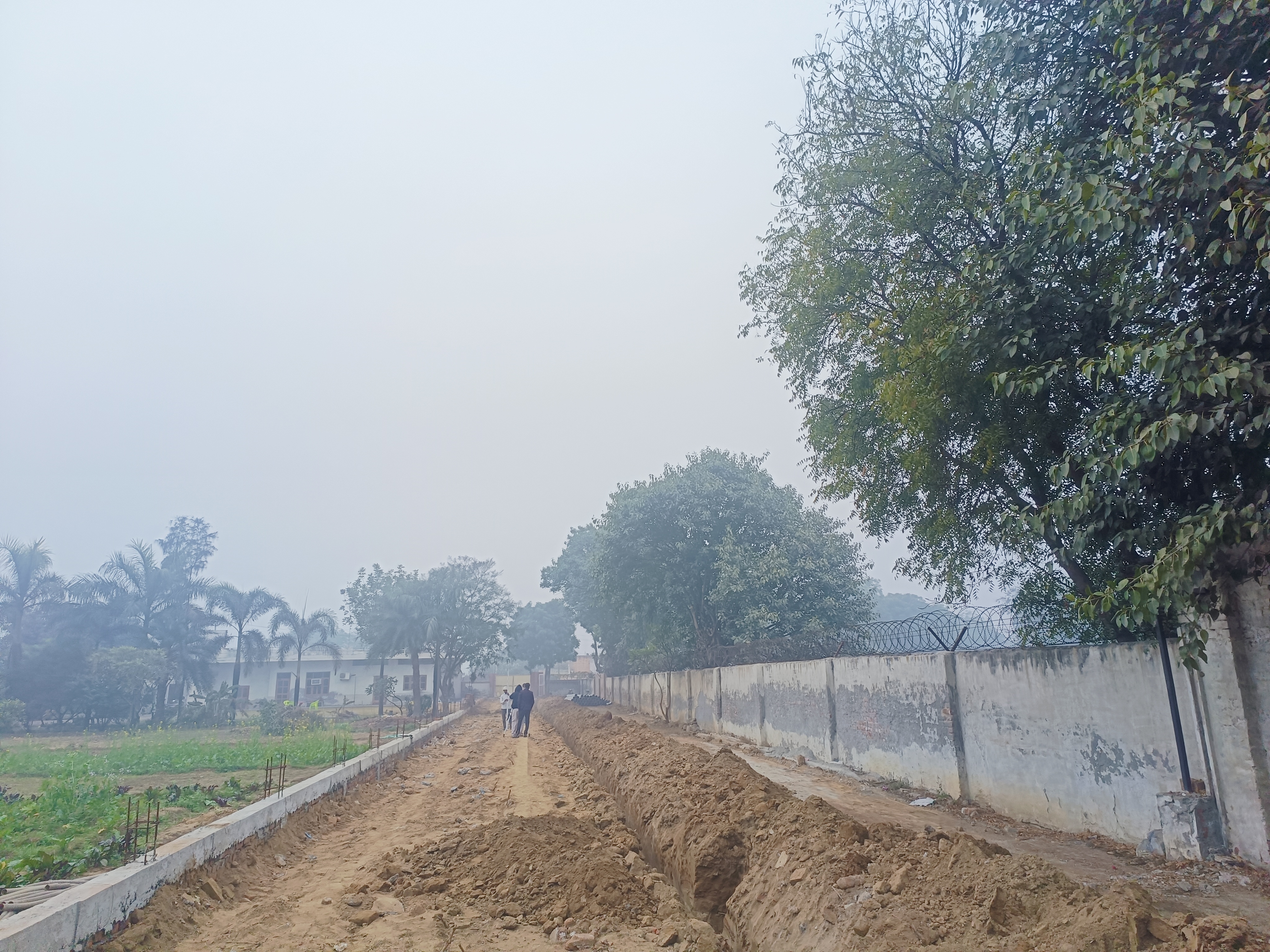 Plot For Resale in Ballabhgarh Faridabad  6356144