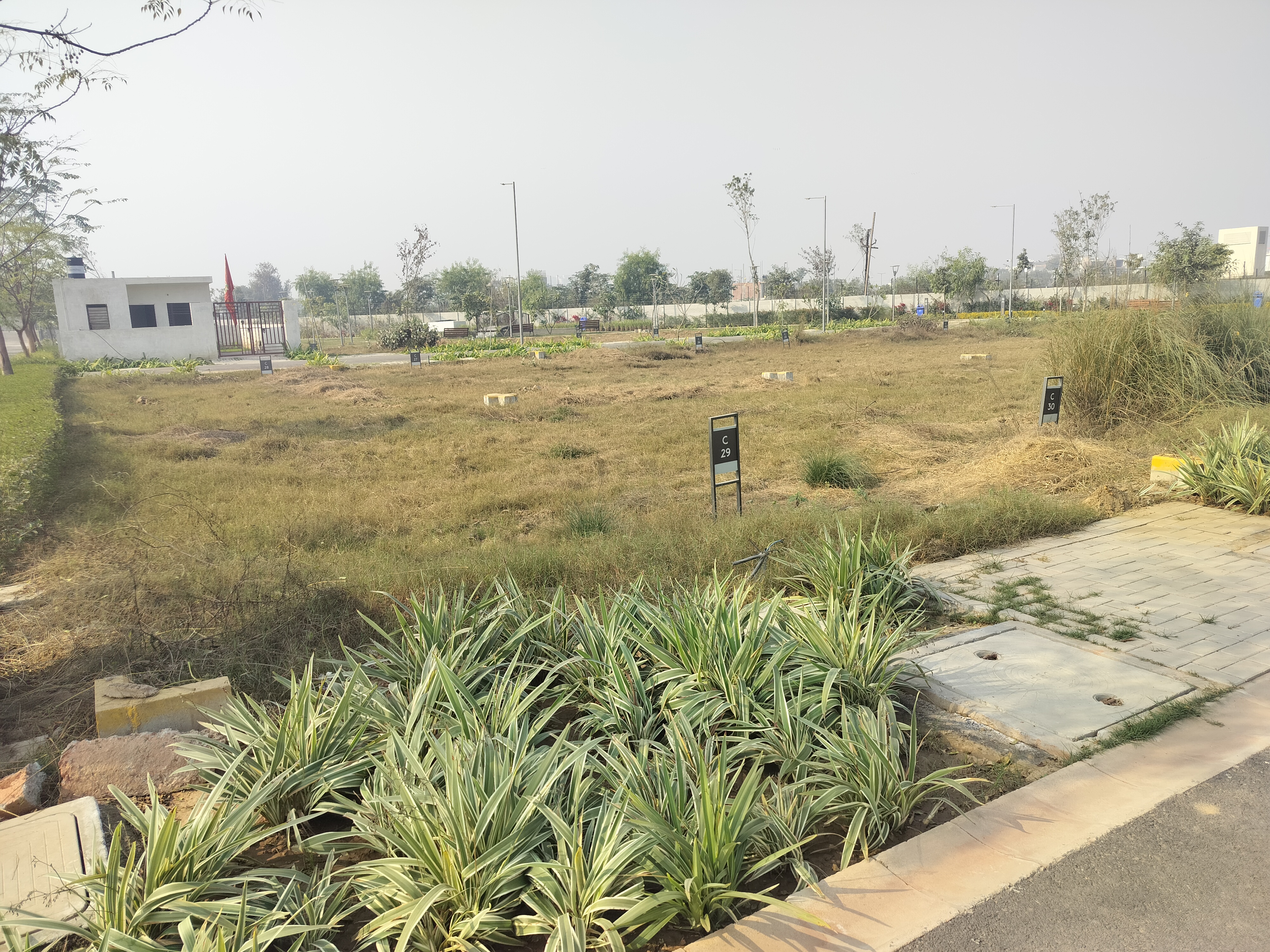 Plot For Resale in Sector 75 Faridabad  6356222