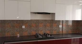 3.5 BHK Apartment For Rent in Sector 121 Mohali 6357028