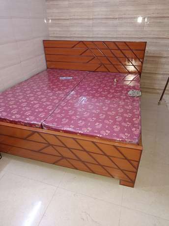 1 BHK Apartment For Rent in DDA Janta Flats Sector 16b Dwarka Delhi 6357606