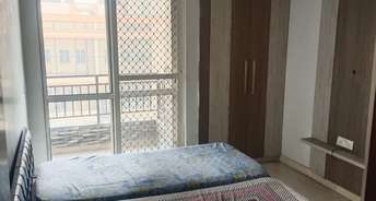 3.5 BHK Apartment For Rent in Jaypee Greens Kosmos Sector 134 Noida 6358088